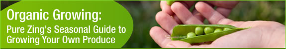 Organic Gardening Guide